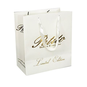 2016 HOT SALE Fashion Style Ribbon Hanlde Shopping Paper bag