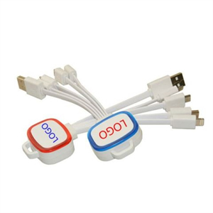 4 in 1 Portable Charge Cable With LED Light