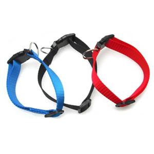Basic Pet Collar