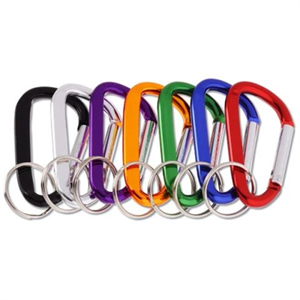 Carabiner Key Tag