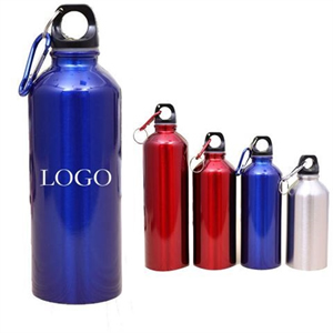 Classic Single Wall Stainless Steel Water Bottle