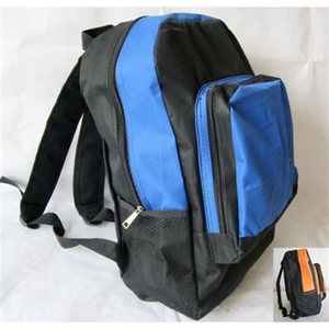 Color Dash Travel/School/Sports Backpack