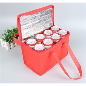 Custom Insulated Cooler Tote bag