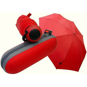Five Folding Umbrella With Case