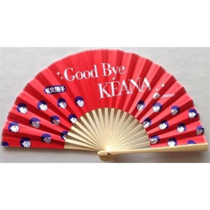 Handheld Folding Fans