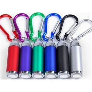 LED Light with Carabiner