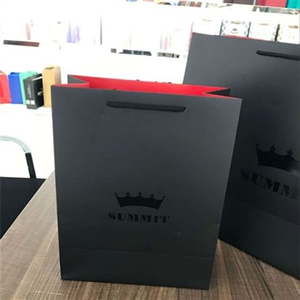 Matte Laminated Euro Tote/Gift Bag (8