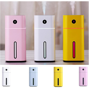Mini USB Charging Humidifier