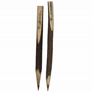 Natural Wood Pen