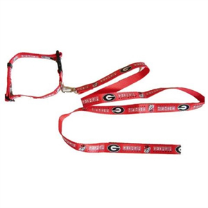 Pet Collar/Pet Leash