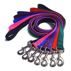 Polyester Pet Leash, 2/5 inch by 4 feet