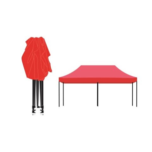 Pop Up Canopy Tent (10'x10')