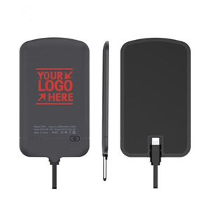 Portable Charger