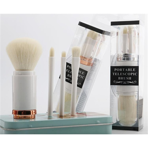 Portable Makeup Brush Kit