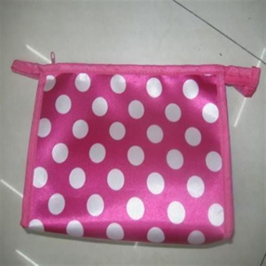 Satin Cosmetics / Make Up Bag