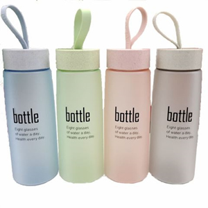 Wheat Straw Student Bottle 520ml